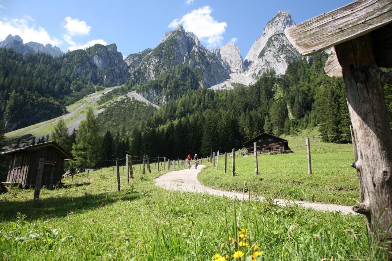 Appartement Predigstuhlblick Mit Indoorpool Und Sauna Bad Goisern Kültér fotó